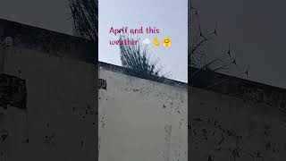 #april weather #likeandsubscribe #youtubeshorts