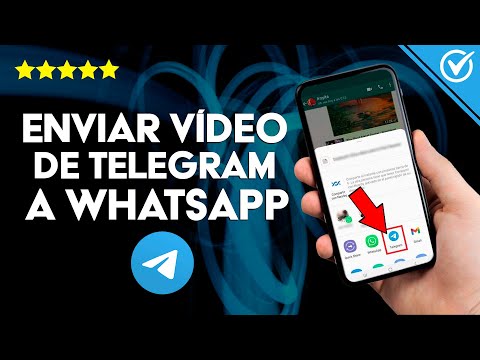 ¿Cómo se Envía un Video de Telegram a WhatsApp? - Comparte Contenido