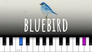 Bluebird ~ Sara Bareilles (piano tutorial)