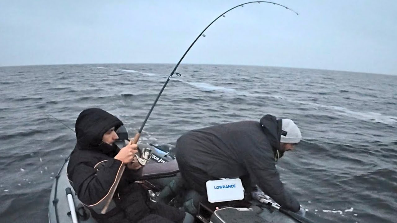 ВОНО не лізе в ПІДСАК, ТРФЕЙ РОКУ, АРЧІ в ШОЦІ, Коли клюють МАШИНИ
