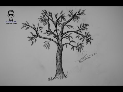 تعليم رسم شجرة وتلوينها للاطفال خطوة بخطوة Drawing A Tree Youtube