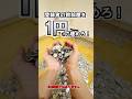 1円に部屋が侵食される!4 #罰ゲーム #1円 #お金 #vtuber #ミツゲツ