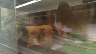 560次莒光號桃園站開車 停靠鶯歌站