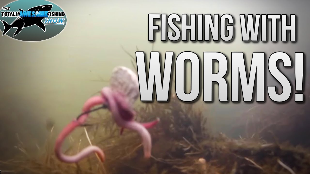 How To Catch Fish With Worms | Tafishing - Youtube