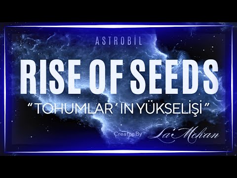 ✨ RISE OF SEEDS \