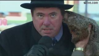 Groundhog Day fails: 5 times things went horribly wrong