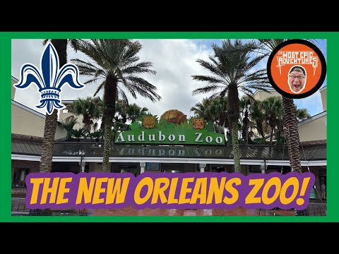 Video: New Orleans Audubon Zoo (Orarë dhe Festivale)
