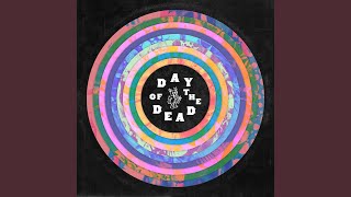 China Cat Sunflower -ᐳ I Know You Rider