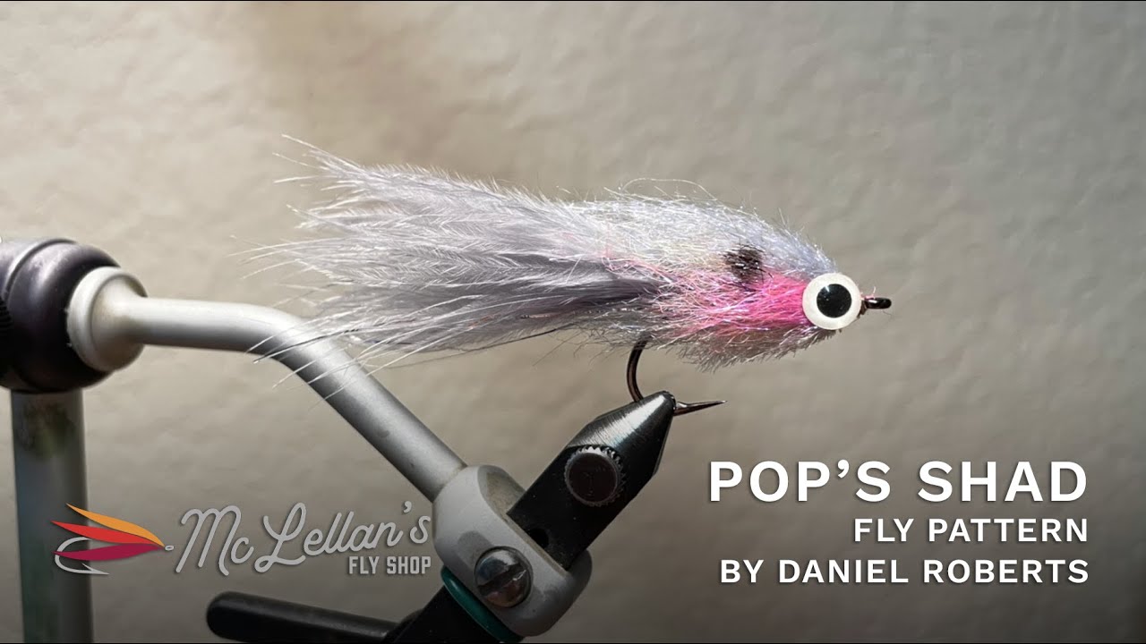 Pop's Shad Fly Pattern by Daniel Roberts – McFlyshop