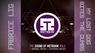 Fabrice Lig -  My Lost Dog Bites The Dumbs - &quot; The Sound of Metrohm Vol 2&quot;