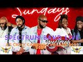 Spectrum band live stcroix  carnival village 2023 2024 fetting all night long cruzan style