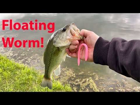 How to Fish the Floating Worm 