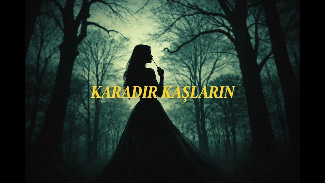 Karadır Kaşların | Anadolu Enstrümantal | Turkish Anatolian Music