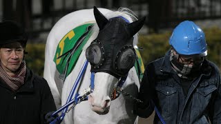 【白毛】2026年2月12日エクラドネージュ引退レース