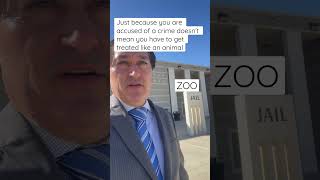 JAILS treat you like an animal #Zoo #JAILS #Prison #SanDiego #RiversideCounty