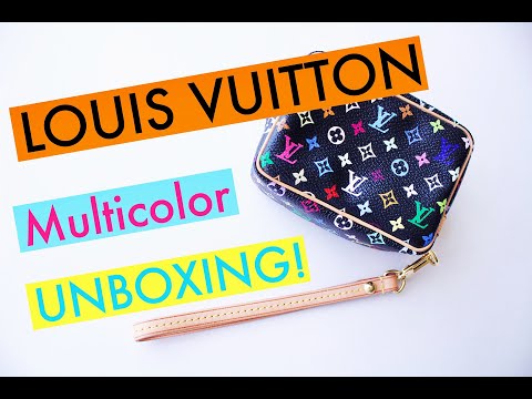 Louis Vuitton Wapity Case Multicolor Blanc- Whats fits inside? /JESSIE 