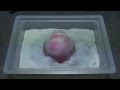 Bubbled volcano ( Kazann de awawa ) Japanese candy