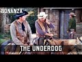 Bonanza  the underdog  episode 180  classic western  tv series  wild west  english