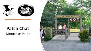 Patch Chat: Montrose Point