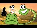 Understanding Snakes and Other Animals