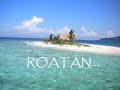 Things To Do In Roatan
