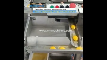 one row egg white and yolk separator machine