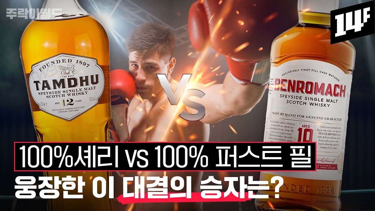 탐듀와 벤로막은 왜 100%를 강조할까?.. 주락이월드의 ‘나만 알고 싶은 위스키’ | 주락이월드 / 14F