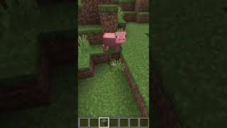 day33 of Building 10 Blocks Per Sub #gaming #minecraftshorts #minecraft #minecraftgaming  #challenge