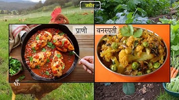 6th Science | Chapter#1 | Topic#8 | जमीन | Marathi Medium