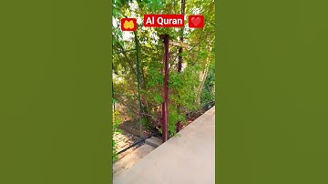 #إسلام_صبحي  #تلاوة_هادئة #تلاوة_خاشعة #سورة_المؤمنون