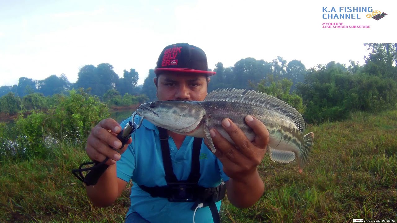CASTING..mancing.. TOMAN UTK IKAN HIASAN.