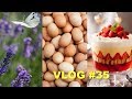 Английские вкусняшки / Яйца / Лавандовая ферма