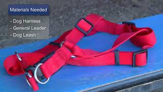 How to Put on Dog Harnesses