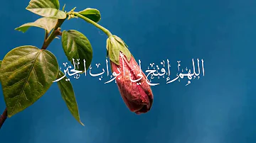 اللهم افتح لي ابواب رحمتك