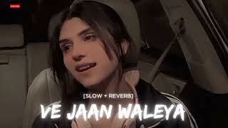 Ijazat Falak ❤️[slowed & reverb] lofi song ||We Jaan waliya [slowed & reverb] #slowed_and_reverb