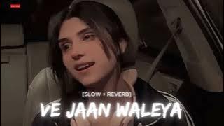 Ijazat Falak ❤️[slowed & reverb] lofi song ||We Jaan waliya [slowed & reverb] #slowed_and_reverb