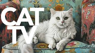 CAT TV - Interactive Video for Cats | Birds in The Wilderness