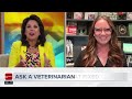Why neutering male cats is crucial for their health, according to an Oklahoma vet