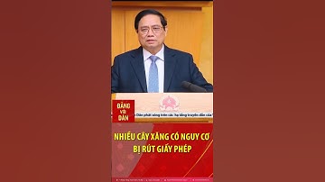 Thủ tướng: Dứt khoát thu giấy phép nếu cửa hàng xăng dầu không dùng hóa đơn điện tử #shorts