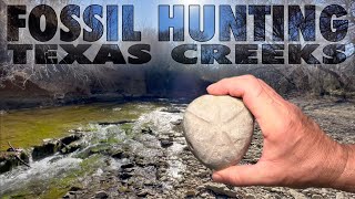 Fossil Hunting North Texas Creeks  Feb  2023