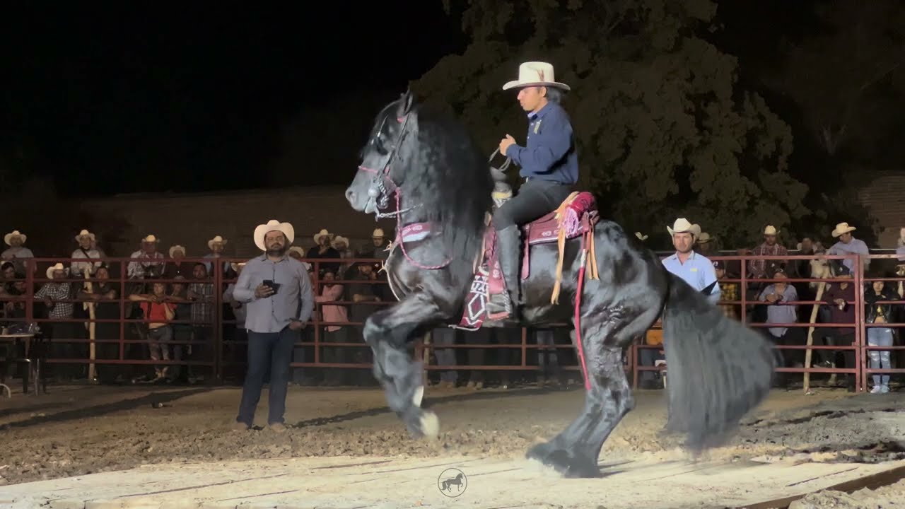 🏆CABALLOS BAILADORES EN LA CIENEGA DE CASAL 2023