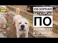 ОБЗОР ХОЗЯЙСТВА АВГУСТ 2019🐾🐶🐥🐷🐂