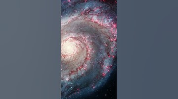 How Dark Matter Halos Shape Galaxies