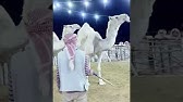 اصول الشيعة By أنور غني الموسوي Issuu