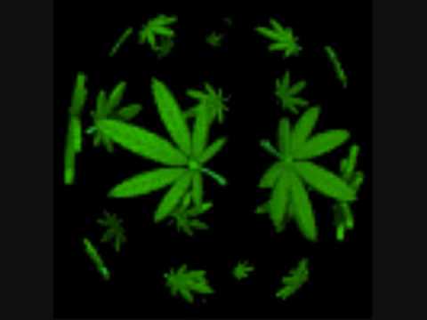 Rasta Vive - Fidel Nadal