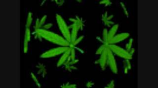 Version 3 of the video