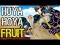 Daifuku's Hoya Hoya No Mi: The Mystery Genie - One Piece Discussion | Tekking101