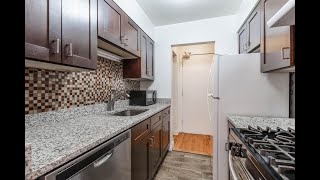3710 North Pine Grove Ave., #217 | 1 Bed 1 Bath | Lakeview