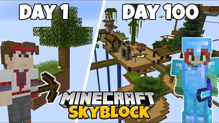 I Spent 100 Days in Minecraft Skyblock