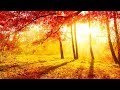 Relaxing Music, Meditation, Sleep Music, Calm Music, Healing, Zen, Sleep, Yoga, Study, Relax, ☯1951